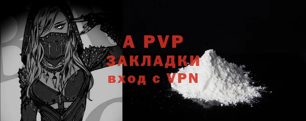 стаф Богородицк