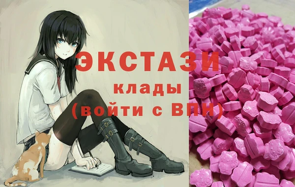 стаф Богородицк