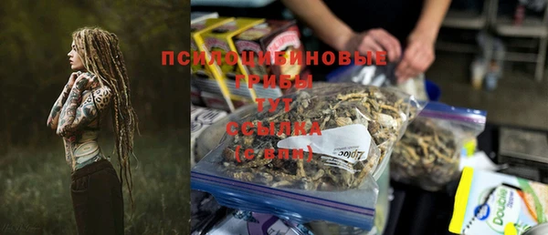 стаф Богородицк