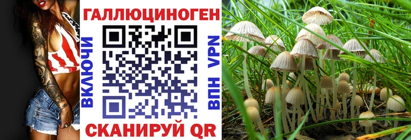 блэк спрут зеркало  Томари  Псилоцибиновые грибы MAGIC MUSHROOMS 